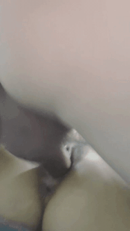 6458f65dacee888098f5dcd5ecdb1e75_1751351093_572.gif