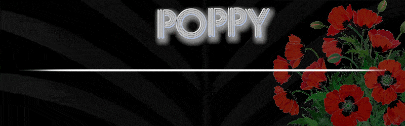 8f09e36d5f9047cbd9f417127024b01f_1754120362_6392.gif
